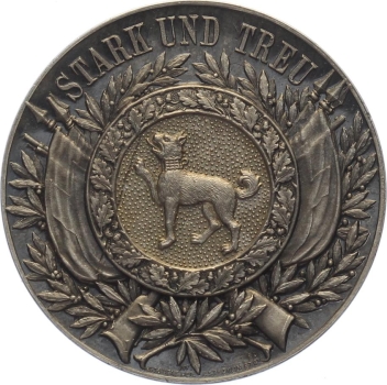 Preview: 1897 Liechtensteig - Silber - Kantonales Schützenfest